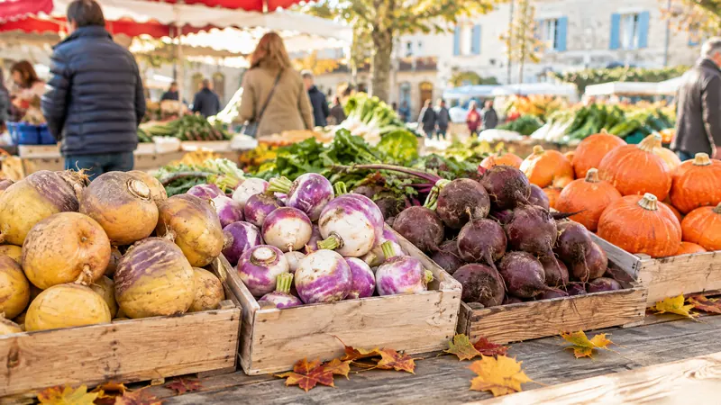 Gros plan sur un étal de marché d'automne garni de rutabagas, de navets violets, de betteraves et de citrouilles orange